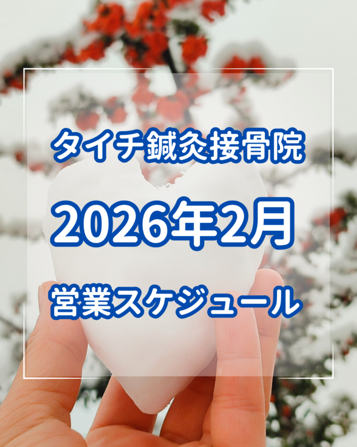 2026年2月の診療スケジュール　熊本市北区タイチ鍼灸接骨院の画像