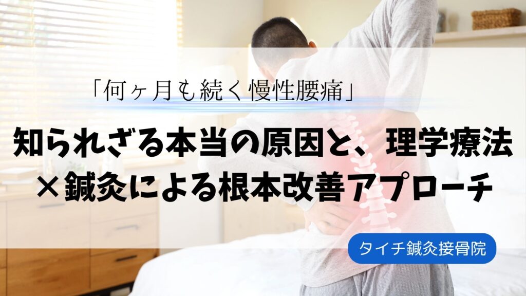 「何ヶ月も続く慢性腰痛」は温める?冷やす? 知られざる本当の原因と、理学療法×鍼灸による根本改善アプローチの画像